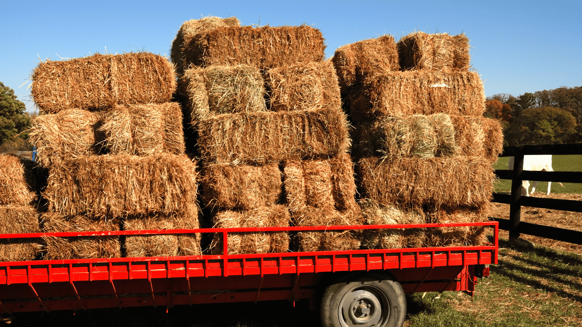 Best Durham, North Carolina Trucking Accident Lawyers for Fall Accidents